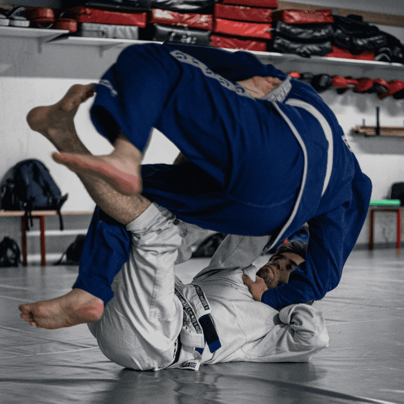 Brasilialainen jujutsu (gi)